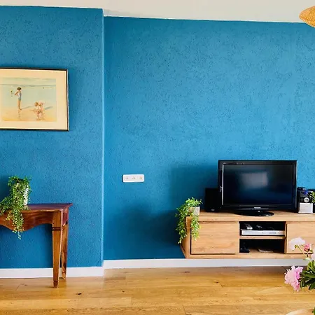 公寓 Panorama Egmond 海边的艾格蒙特